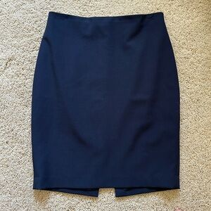 Express Pencil Skirt